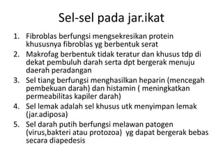 Sel-sel pada jar.ikat 
1. Fibroblas berfungsi mengsekresikan protein 
khususnya fibroblas yg berbentuk serat 
2. Makrofag berbentuk tidak teratur dan khusus tdp di 
dekat pembuluh darah serta dpt bergerak menuju 
daerah peradangan 
3. Sel tiang berfungsi menghasilkan heparin (mencegah 
pembekuan darah) dan histamin ( meningkatkan 
permeabilitas kapiler darah) 
4. Sel lemak adalah sel khusus utk menyimpan lemak 
(jar.adiposa) 
5. Sel darah putih berfungsi melawan patogen 
(virus,bakteri atau protozoa) yg dapat bergerak bebas 
secara diapedesis 
 