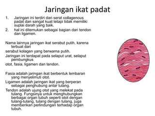 Jaringan ikat padat 
1. Jaringan ini terdiri dari serat collagenous 
padat dan sangat kuat tetapi tidak memiliki 
suplai darah yang baik. 
2. hal ini ditemukan sebagai bagian dari tendon 
dan ligamen. 
Nama lainnya jaringan ikat serabut putih, karena 
terbuat dari 
serabut kolagen yang berwarna putih. 
Jaringan ini terdapat pada selaput urat, selaput 
pembungkus 
otot, fasia, ligamen dan tendon. 
Fasia adalah jaringan ikat berbentuk lembaran 
yang menyelimuti otot. 
Ligamen adalah jaringan ikat yang berperan 
sebagai penghubung antar tulang. 
Tendon adalah ujung otot yang melekat pada 
tulang. Fungsinya untuk menghubungkan 
berbagai organ tubuh seperti otot dengan 
tulang-tulang, tulang dengan tulang, juga 
memberikan perlindungan terhadap organ 
tubuh. 
 