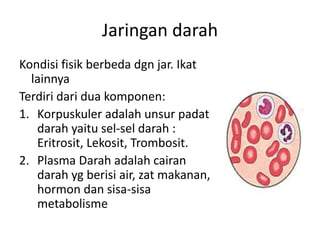 Jaringan darah 
Kondisi fisik berbeda dgn jar. Ikat 
lainnya 
Terdiri dari dua komponen: 
1. Korpuskuler adalah unsur padat 
darah yaitu sel-sel darah : 
Eritrosit, Lekosit, Trombosit. 
2. Plasma Darah adalah cairan 
darah yg berisi air, zat makanan, 
hormon dan sisa-sisa 
metabolisme 
 