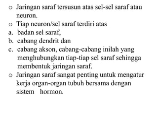 o Jaringan saraf tersusun atas sel-sel saraf atau 
neuron. 
o Tiap neuron/sel saraf terdiri atas 
a. badan sel saraf, 
b. cabang dendrit dan 
c. cabang akson, cabang-cabang inilah yang 
menghubungkan tiap-tiap sel saraf sehingga 
membentuk jaringan saraf. 
o Jaringan saraf sangat penting untuk mengatur 
kerja organ-organ tubuh bersama dengan 
sistem hormon. 
 