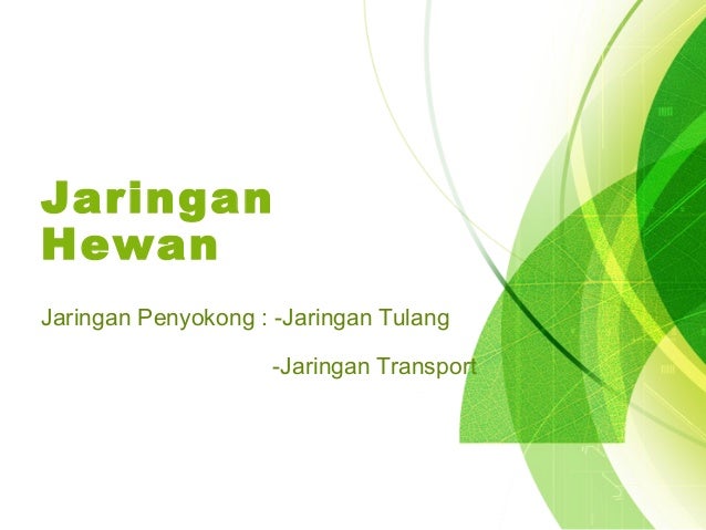  Jaringan  Ikat Hewan 