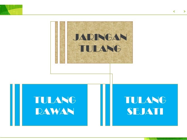 Jaringan Ikat Hewan