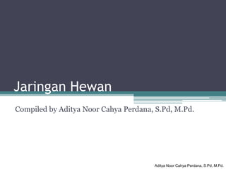 Aditya Noor Cahya Perdana, S.Pd, M.Pd.
Jaringan Hewan
Compiled by Aditya Noor Cahya Perdana, S.Pd, M.Pd.
 