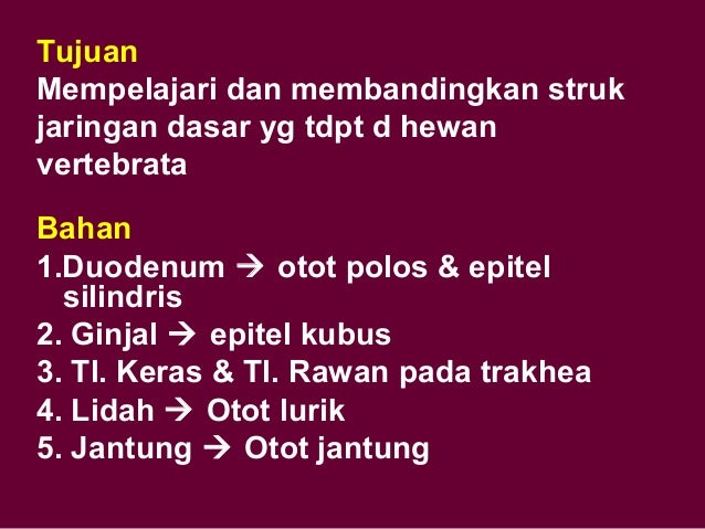 Makalah struktur dan fungsi jaringan hewan