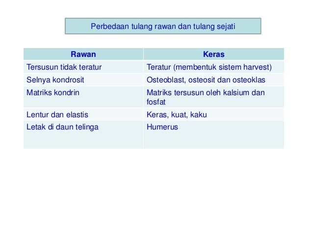 Perbedaan Tulang Rawan Dengan Tulang Keras Berbagai Perbedaan