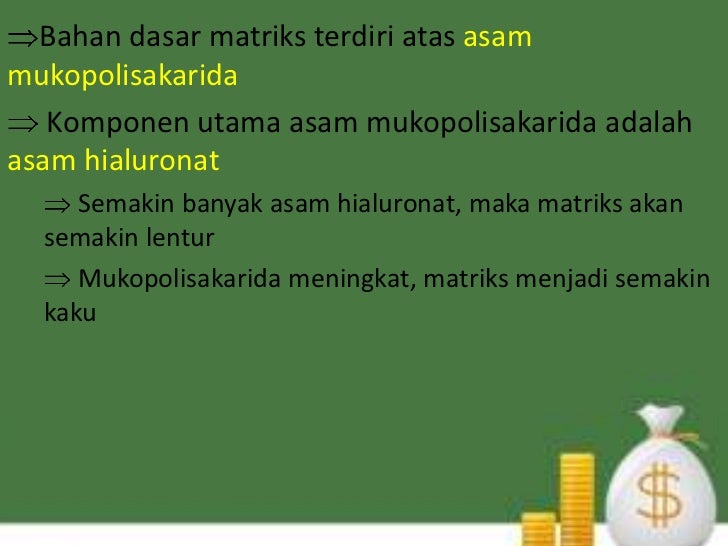 Jaringan hewan vertebrata jaringan pengikat Jaringan hewan vertebrata jaringan pengikat