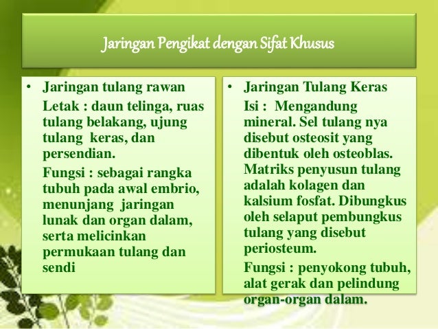 Jaringan hewan x ci dwi ditha fidia syafira virga Jaringan hewan x ci dwi ditha fidia syafira virga