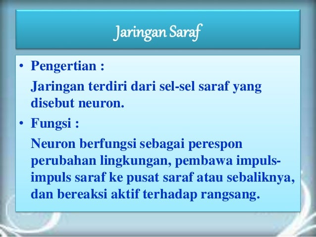 Jaringan Hewan X Ci Dwi Dithafidiasyafiravirga