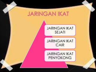 JARINGAN IKAT
SEJATI
JARINGAN IKAT
CAIR
JARINGAN IKAT
PENYOKONG
 