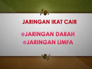 Jaringan ikat