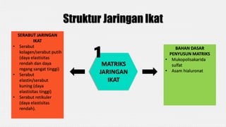 Struktur Jaringan Ikat
MATRIKS
JARINGAN
IKAT
SERABUT JARINGAN
IKAT
• Serabut
kolagen/serabut putih
(daya elastisitas
rendah dan daya
regang sangat tinggi)
• Serabut
elastin/serabut
kuning (daya
elastisitas tinggi)
• Serabut retikuler
(daya elastisitas
rendah).
1
BAHAN DASAR
PENYUSUN MATRIKS
• Mukopolisakarida
sulfat
• Asam hialuronat
 