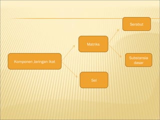 Komponen Jaringan Ikat
Matriks
Sel
Serabut
Substansia
dasar
 