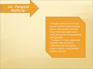 Jar. Pengikat
Retikuler
•Jaringan retikular terdiri atas
sel-sel retikular yang membuat
jalinan, dan serabut retikular
yang menempel pada tubuh
serta penjuluran sel yang saling
berhubungan.
• Terdapat di tmpat yang masih
memiliki sifat embrionik.
• Memiliki sifat fibroblastik,
karena mampu menghasilkan
serabut retikular
 