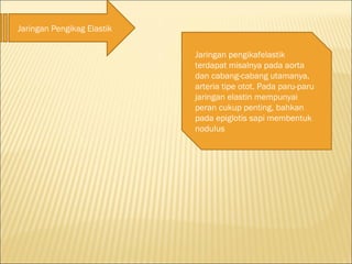 Jaringan Pengikag Elastik
Jaringan pengikafelastik
terdapat misalnya pada aorta
dan cabang-cabang utamanya,
arteria tipe otot. Pada paru-paru
jaringan elastin mempunyai
peran cukup penting, bahkan
pada epiglotis sapi membentuk
nodulus
 