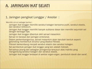 1. Jaringan pengikat Longgar / Areolar :
Memiliki ciri-ciri sebagai berikut :
 Jaringan ikat longgar memiliki serabut kolagen berwarna putih, serabut elastis,
dan serabut retikulum.
 Jaringan ikat longgar memiliki banyak subtansi dasar dan memiliki sejumlah sel
dengan berbagai tipe.
 Jaringan ikat longgar dibentuk oleh sel-sel mesenkim
 Sel-sel ini berasal dari jaringan embrional.
 Dalam perkembangannya, sel-sel mesenkim akan berubah bentuk seperti
gelondong membentuk struktur yang disebut fibrosit.
 Fibrosit berkembang menjadi serabut elastin dan serabut kolagen.
 Sel pembentuk jaringan ikat longgar yang lain adalah hidrosit.
 Sel-selnya jarang dan sebagian jaringannya tersusun atas matriks yang
mengandung serabut kolagen dan serabut elastis.
 Jaringan ikat longgar terdapat di sekitar organ-organ, pembuluh darah dan saraf.
 
 