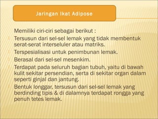 Memiliki ciri-ciri sebagai berikut :
 Tersusun dari sel-sel lemak yang tidak membentuk
serat-serat interseluler atau matriks.
 Terspesialisasi untuk penimbunan lemak.
 Berasal dari sel-sel mesenkim.
 Terdapat pada seluruh bagian tubuh, yaitu di bawah
kulit sekitar persendian, serta di sekitar organ dalam
seperti ginjal dan jantung.
 Bentuk longgar, tersusun dari sel-sel lemak yang
berdinding tipis & di dalamnya terdapat rongga yang
penuh tetes lemak.
Jaringan Ikat Adipose
 