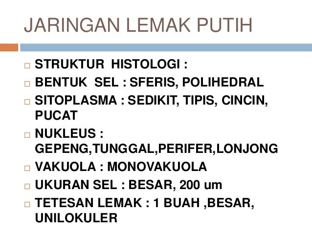 Jaringan ikat (modul kulit dan jaringan penunjang)