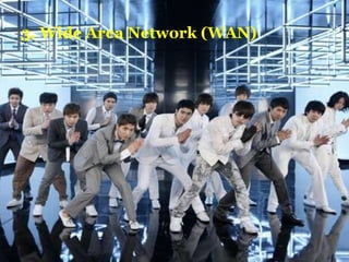 3. Wide Area Network (WAN)
 