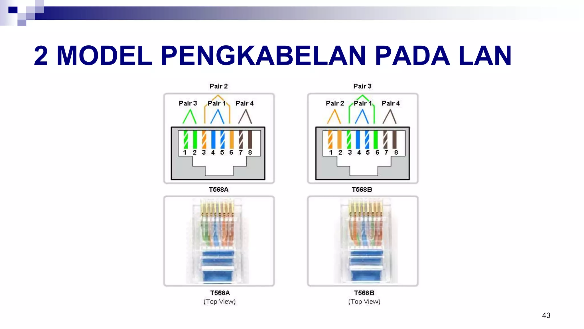 2 MODEL PENGKABELAN PADA LAN
43
 