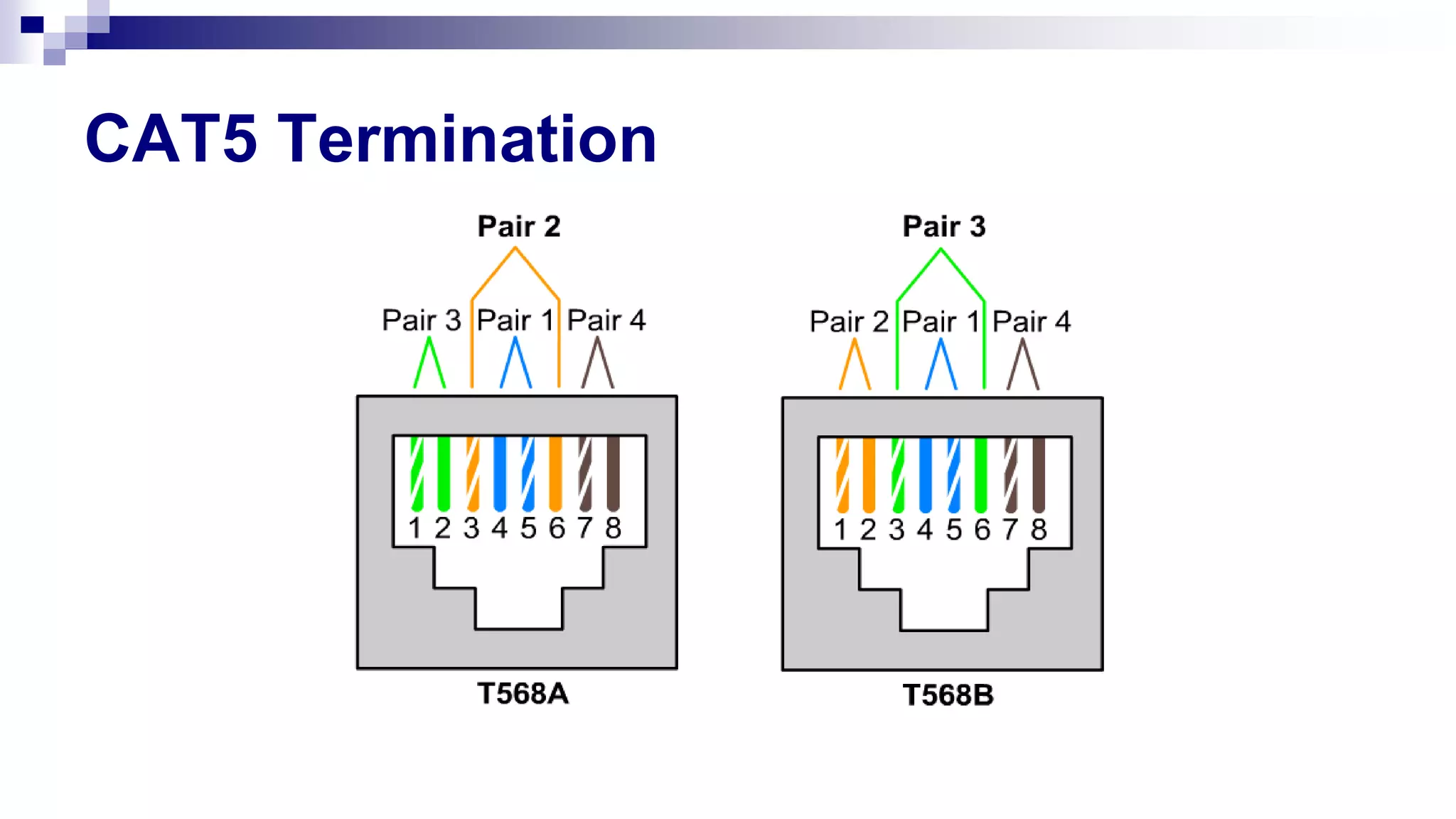 CAT5 Termination
 