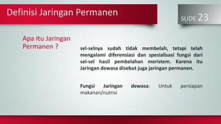 Definisi Jaringan Permanen
SLIDE 23
Apa Itu Jaringan
Permanen ? sel-selnya sudah tidak membelah, tetapi telah
mengalami diferensiasi dan spesialisasi fungsi dari
sel-sel hasil pembelahan meristem. Karena itu
Jaringan dewasa disebut juga jaringan permanen.
Fungsi Jaringan dewasa: Untuk persiapan
makanan/nutrisi
 