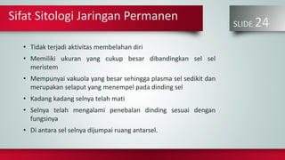 SLIDE 24
• Tidak terjadi aktivitas membelahan diri
• Memiliki ukuran yang cukup besar dibandingkan sel sel
meristem
• Mempunyai vakuola yang besar sehingga plasma sel sedikit dan
merupakan selaput yang menempel pada dinding sel
• Kadang kadang selnya telah mati
• Selnya telah mengalami penebalan dinding sesuai dengan
fungsinya
• Di antara sel selnya dijumpai ruang antarsel.
Sifat Sitologi Jaringan Permanen
 