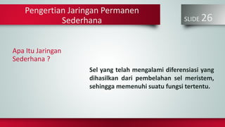 SLIDE 26
Apa Itu Jaringan
Sederhana ?
Sel yang telah mengalami diferensiasi yang
dihasilkan dari pembelahan sel meristem,
sehingga memenuhi suatu fungsi tertentu.
Pengertian Jaringan Permanen
Sederhana
 