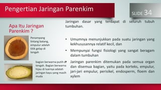 SLIDE 34
Apa Itu Jaringan
Parenkim ?
Jaringan dasar yang terdapat di seluruh tubuh
tumbuhan.
• Umumnya menunjukkan pada suatu jaringan yang
kekhususannya relatif kecil, dan
• Mempunyai fungsi fisiologi yang sangat beragam
dalam tumbuhan
• Jaringan parenkim ditemukan pada semua organ
dan disemua bagian, yaitu pada korteks, empulur,
jari-jari empulur, perisikel, endosperm, floem dan
xylem
Pengertian Jaringan Parenkim
Penampang
lintang batang,
empulur adalah
titik gelap di
tengah
bagian berwarna putih di
tengah. Bagian berwarna
hijau di luarnya adalah
jaringan kayu yang masih
muda
 