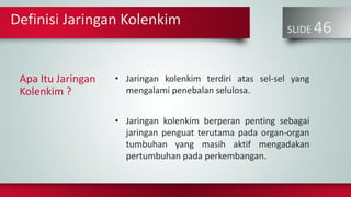 SLIDE 46
Apa Itu Jaringan
Kolenkim ?
• Jaringan kolenkim terdiri atas sel-sel yang
mengalami penebalan selulosa.
• Jaringan kolenkim berperan penting sebagai
jaringan penguat terutama pada organ-organ
tumbuhan yang masih aktif mengadakan
pertumbuhan pada perkembangan.
Definisi Jaringan Kolenkim
 