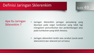 SLIDE 49
Apa Itu Jaringan
Sklerenkim ?
• Jaringan sklerenkim jaringan penyokong yang
dijumpai pada organ tumbuhan yang tidak lagi
mengalami pertumbuhan dan perkembangan atau
pada tumbuhan yang telah dewasa.
• Jaringan sklerenkim terdiri atas serabut (serat-serat
sklerenkim) dan sklereid (sel sel batu).
Definisi Jaringan Sklerenkim
 