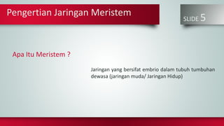 SLIDE 5
Apa Itu Meristem ?
Jaringan yang bersifat embrio dalam tubuh tumbuhan
dewasa (jaringan muda/ Jaringan Hidup)
Pengertian Jaringan Meristem
 