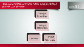 PENGELOMPOKAN JARINGAN PENYOKONG BERDASAR
BENTUK DAN SIFATNYA SLIDE 51
Jaringan
Penyokong
Jaringan
Sklerenkim
Sklereid
Serabut
Sklerenkim
 