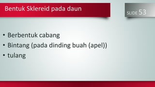 SLIDE 53
• Berbentuk cabang
• Bintang (pada dinding buah (apel))
• tulang
Bentuk Sklereid pada daun
 