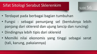 SLIDE 56
• Terdapat pada berbagai bagian tumbuhan
• Fungsi : sebagai penunjang sel (bentuknya lebih
panjang dari sklereid dan ujung lancip dan runcing)
• Dindingnya lebih tipis dari sklereid
• Memilki nilai ekonomis yang tinggi sebagai serat
(tali, karung, pakaiannya)
Sifat Sitologi Serabut Sklerenkim
 