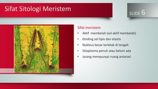 Sifat Sitologi Meristem
SLIDE 6
Sifat meristem
• Aktif membelah (sel aktif membelah)
• Dinding sel tipis dan elastis
• Nukleus besar terletak di tengah
• Sitoplasma penuh atau belum ada
• Jarang mempunyai ruang antarsel.
John Badham
 