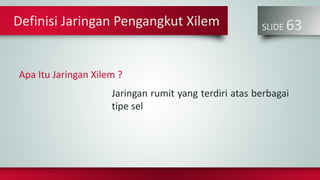 SLIDE 63
Jaringan rumit yang terdiri atas berbagai
tipe sel
Definisi Jaringan Pengangkut Xilem
Apa Itu Jaringan Xilem ?
 
