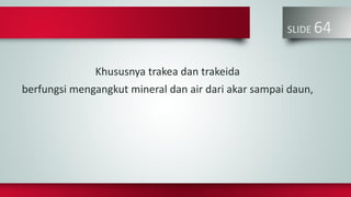 SLIDE 64
Khususnya trakea dan trakeida
berfungsi mengangkut mineral dan air dari akar sampai daun,
 