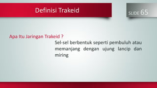 SLIDE 65
Sel-sel berbentuk seperti pembuluh atau
memanjang dengan ujung lancip dan
miring
Definisi Trakeid
Apa Itu Jaringan Trakeid ?
 