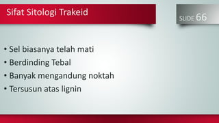 SLIDE 66
• Sel biasanya telah mati
• Berdinding Tebal
• Banyak mengandung noktah
• Tersusun atas lignin
Sifat Sitologi Trakeid
 