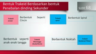SLIDE 68
Berbentuk seperti
anak-anak tangga
Berbentuk Seperti
Cincin
Berbentuk Noktah
Berbentuk SpiralTrakeid
anular
Trakeid
Menangga
(Scalariform)
Trakeid
spiral
Trakeid
Bordered Pitted
Bentuk Trakeid Berdasarkan bentuk
Penebalan dinding Sekunder
 
