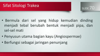 SLIDE 70
• Bermula dari sel yang hidup kemudian dinding
menjadi tebal berubah bentuk menjadi pipa, dan
sel-sel mati
• Penyusun utama bagian kayu (Angiospermae)
• Berfungsi sebagai jaringan penunjang
Sifat Sitologi Trakea
 