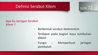 SLIDE 72
- Berbentuk serabut skelerenkim
- Terdapat pada bagian kayu tumbuhan
dikotil
- Fungsi : Memperkuat jaringan
pembuluh
Definisi Serabut Xilem
Apa Itu Jaringan Serabut
Xilem ?
 