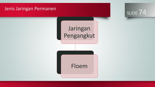 Jenis Jaringan Permanen
SLIDE 74
Jaringan
Pengangkut
Floem
 