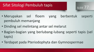 SLIDE 77
• Merupakan sel floem yang berbentuk seperti
pembuluh memanjang
• Dinding sel melintang antar sel melarut
• Bagian-bagian yang berlubang-lubang seperti tapis (sel
tapis)
• Terdapat pada Pteriodophyta dan Gymnospermae
Sifat Sitologi Pembuluh tapis
 