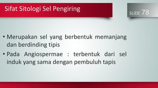 SLIDE 78
• Merupakan sel yang berbentuk memanjang
dan berdinding tipis
• Pada Angiospermae : terbentuk dari sel
induk yang sama dengan pembuluh tapis
Sifat Sitologi Sel Pengiring
 