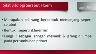 SLIDE 79
• Merupakan sel yang berbentuk memanjang seperti
serabut
• Bentuk : seperti sklerenkim
• Fungsi : sebagai jaringan mekanik & jarang dijumpai
pada pertumbuhan primer
Sifat Sitologi Serabut Floem
 