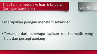 SLIDE 82
• Merupakan jaringan meristem sekunder
• Tersusun dari beberapa lapisan meristematik yang
tipis dan persegi panjang
Sifat Sel membelah ke luar & ke dalam
(Jaringan Kambium)
 