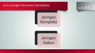 Jenis Jaringan Permanen (Kompleks)
SLIDE 84
Jaringan
Kompleks
Jaringan
Gabus
 