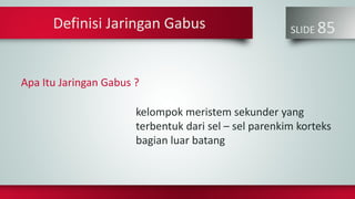 SLIDE 85
kelompok meristem sekunder yang
terbentuk dari sel – sel parenkim korteks
bagian luar batang
Definisi Jaringan Gabus
Apa Itu Jaringan Gabus ?
 