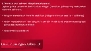 Ciri-Ciri jaringan gabus :D
1. Tersusun atas sel – sel hidup kemudian mati
Lapisan gabus terbentuk dari aktivitas felogen (kambium gabus) yang merupakan
meristem sekunder.
• Felogen membentuk felem ke arah luar, (Felogen tersusun atas sel – sel hidup)
• Felem merupakan sel –sel yang mati. (Felem ini lah yang akan menjadi lapisan
gabus pada tumbuhan dikotil)
• Feloderm ke arah dalam.
 